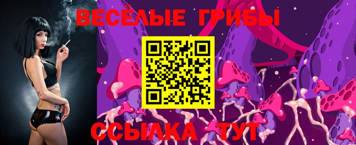 Псилоцибиновые грибы мицелий Ачинск