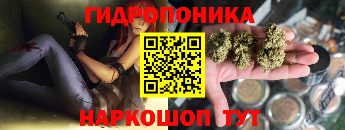МАРИХУАНА сатива Ачинск
